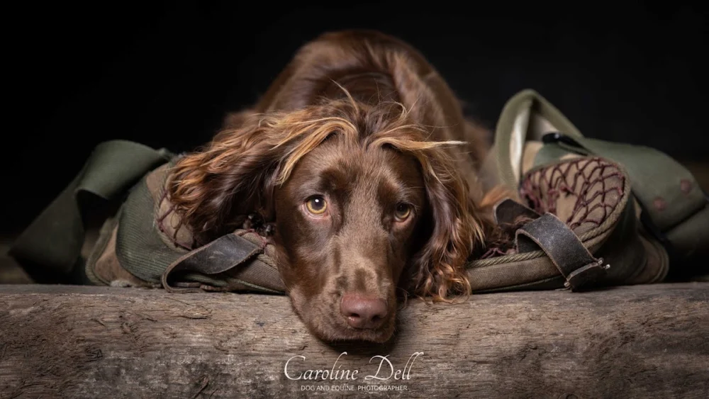 CAROLINE DELL PHOTOGRAPHY