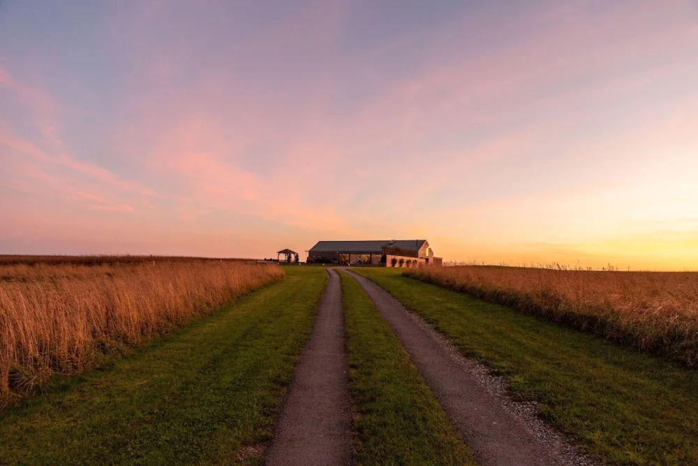 Dan Watkiss Photography