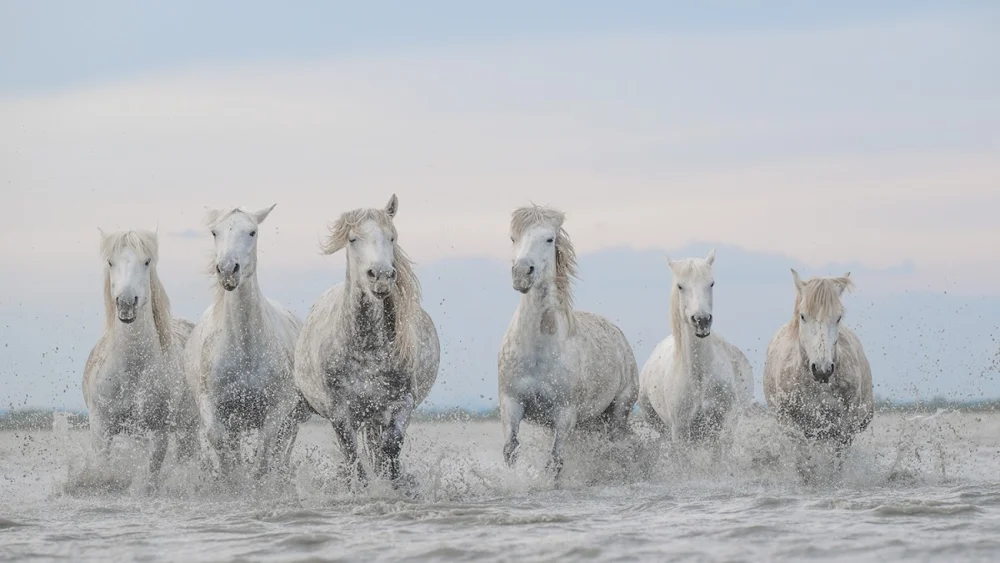 DorsetPhotoEvent