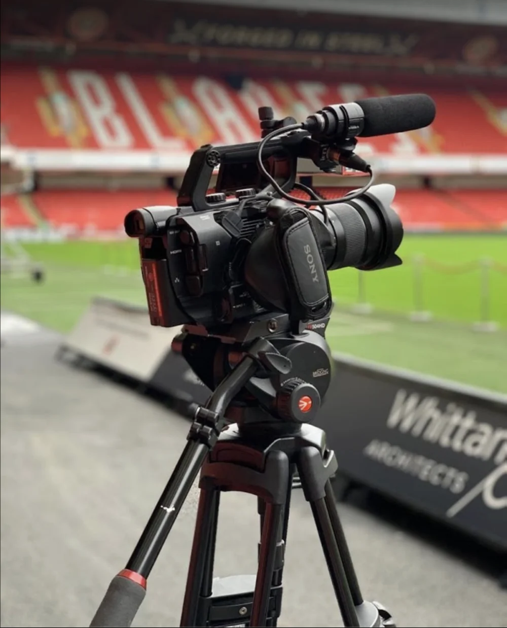 FORTAY media