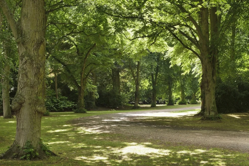 Lanwades Hall Wedding and Events Venue