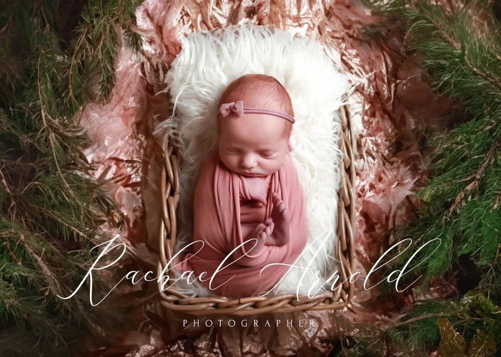 Rachael Arnold Photography