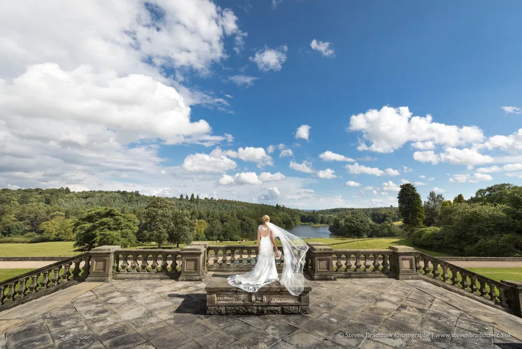 Steven Bradshaw Photography