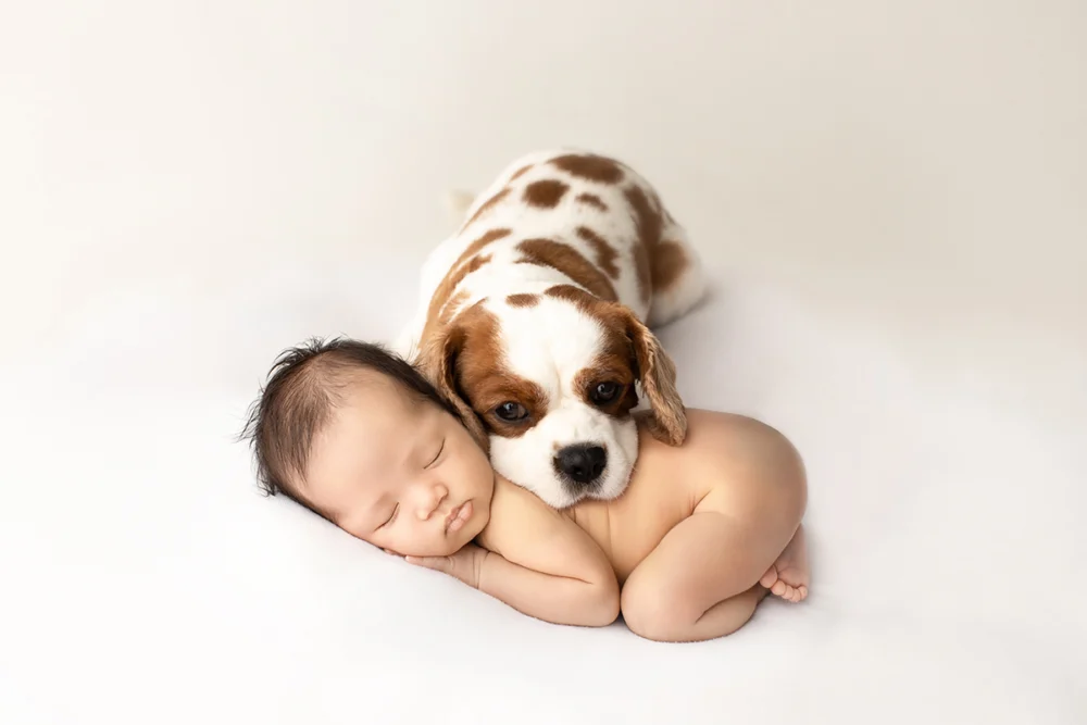 Tiny Posers
