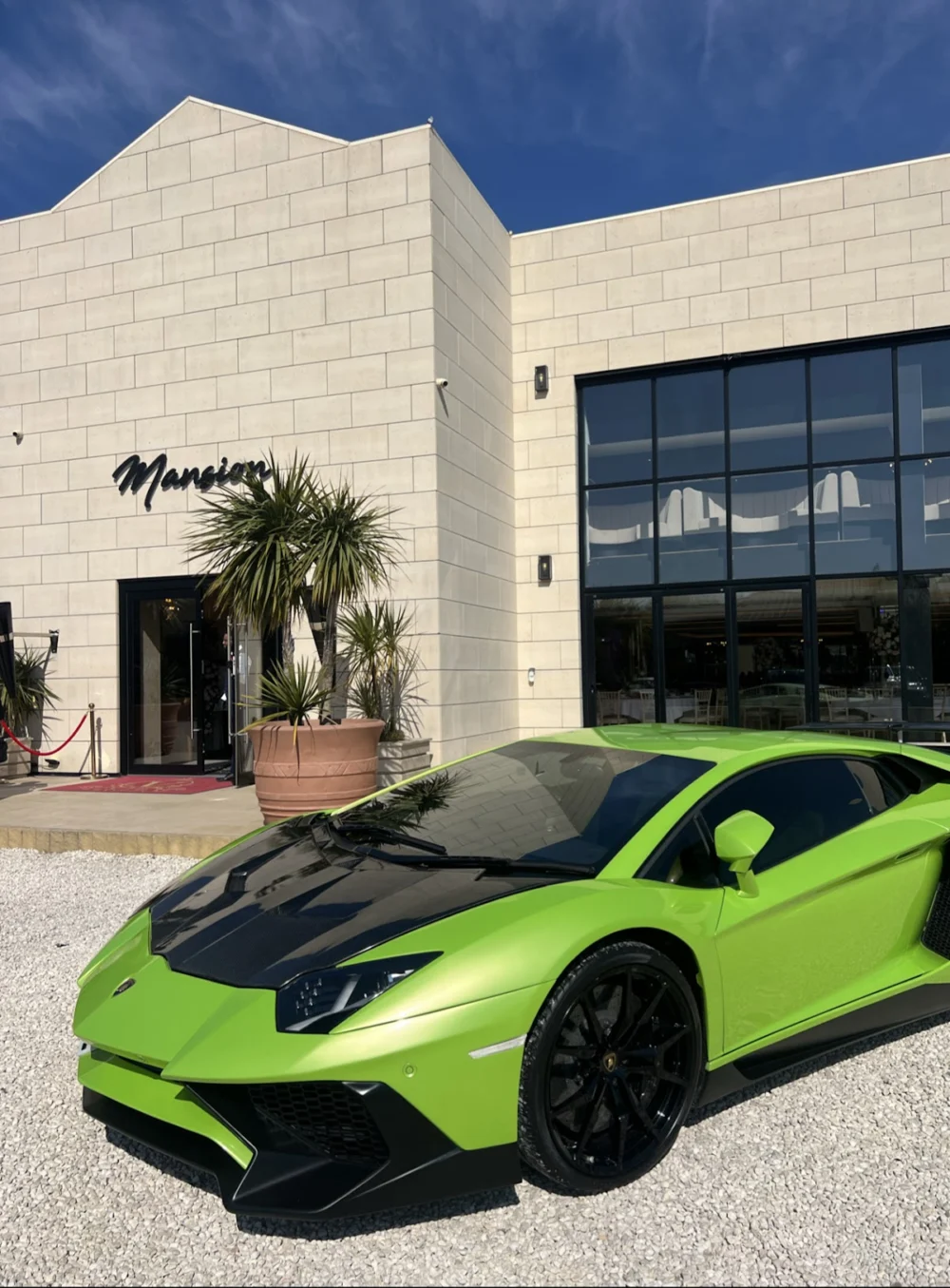 VIP Mansion