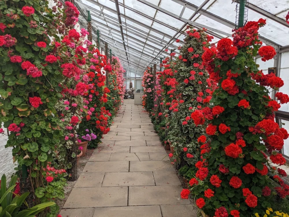 Walled Gardens